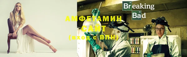 индика Михайлов