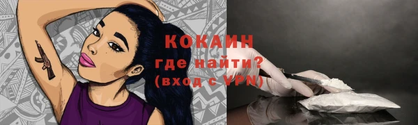 индика Михайлов