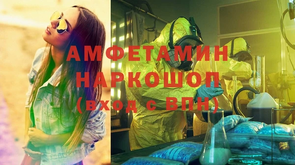 индика Михайлов