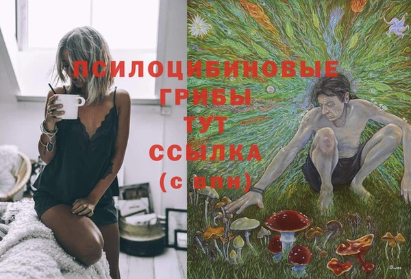 дмт Наволоки
