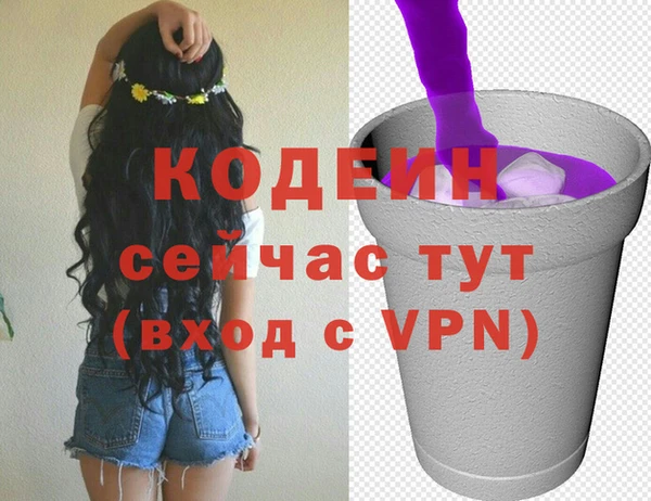индика Нея